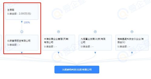 王思聰跨界布局，投資成立半導(dǎo)體制造公司引領(lǐng)技術(shù)新浪潮