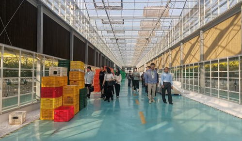 甘薯產業新動力 江西舉辦機械化種植提質增效技術高級研修班